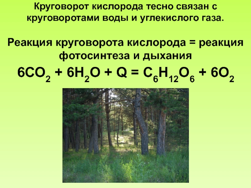 Круговорот кислорода презентация 11 класс