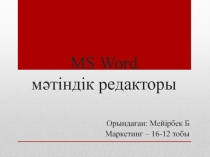 MS Word мәтіндік редакторы