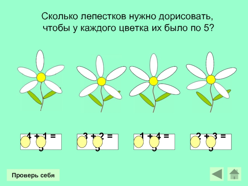 Сколько лепестков нужно дорисовать, чтобы у каждого цветка их было по 5?4 + 1 = 53 +