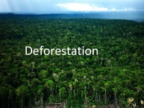 Deforestation