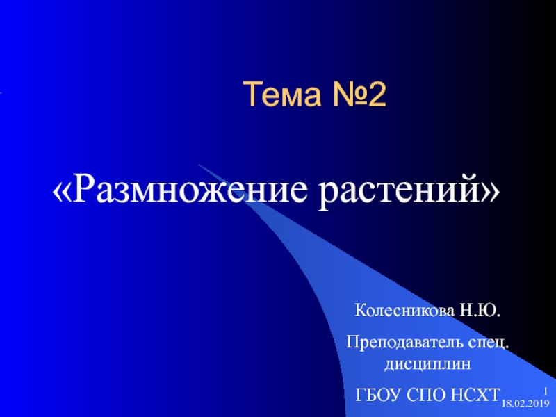 Тема №2