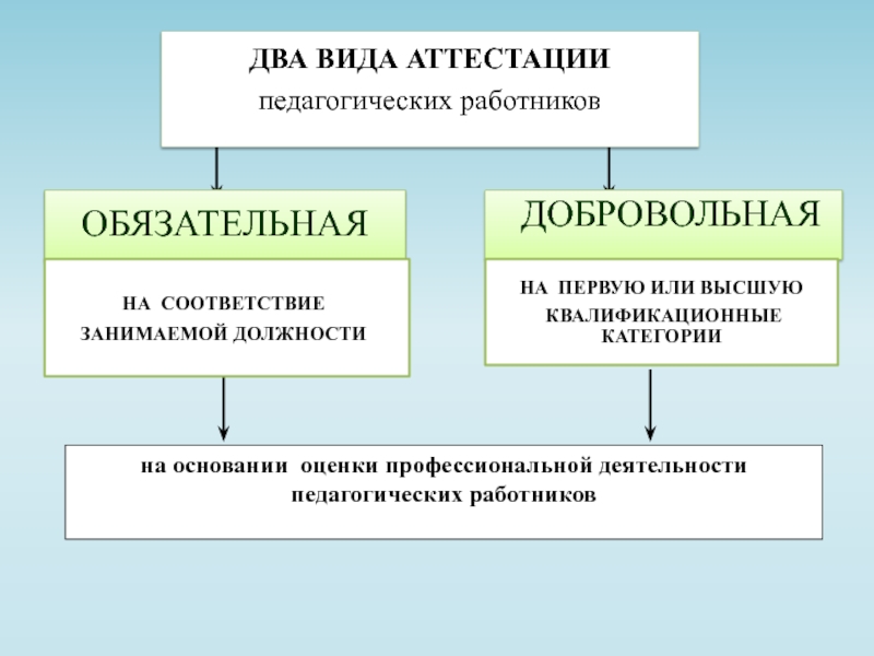 Основания оценки