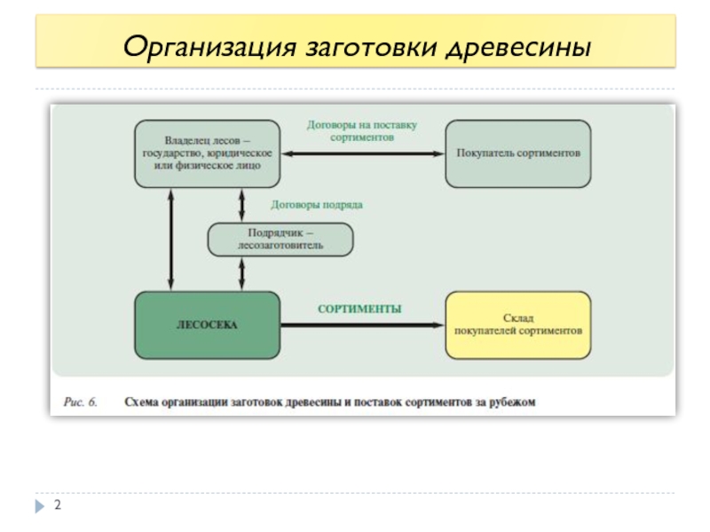 Правила заготовки древесины. Схема заготовки древесины. Учет заготовленной древесины. Процесс заготовки древесины схема. Этапы заготовки леса.