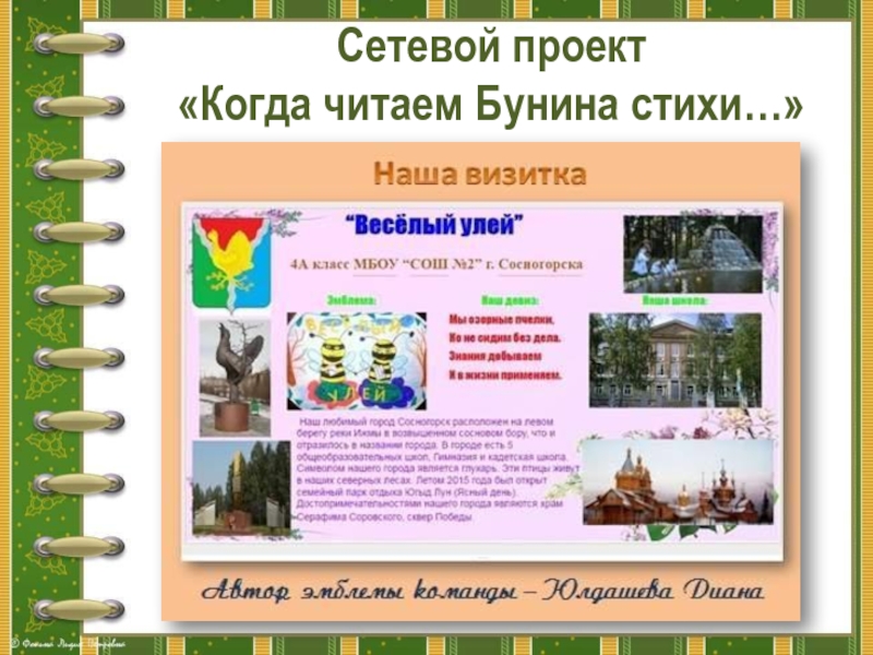 Сетевой проект богородск