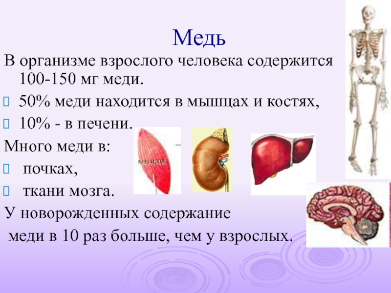 Взрослый организм. В организме взрослого человека содержится. Медь в печени человека. В организме взрослого человека находится. Организм зрелого человека.