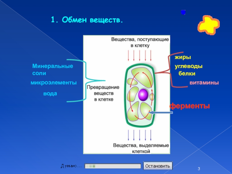 Процессы синтеза в живых клетках 11 класс презентация урока