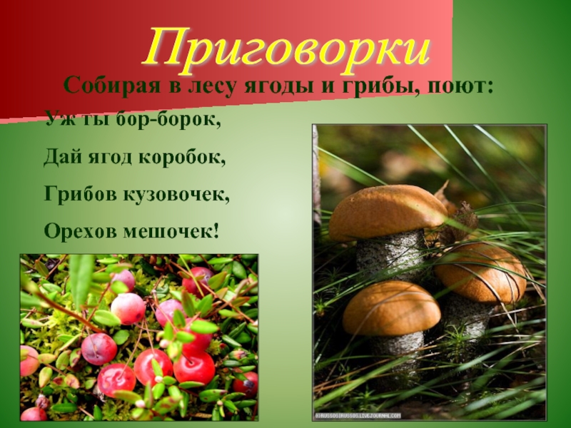 Приговорки Собирая в лесу ягоды и грибы, поют:Уж ты бор-борок,Дай ягод коробок, Грибов кузовочек,Орехов мешочек!