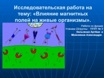 Исследовательская работа на тему: Влияние магнитных полей на живые организмы