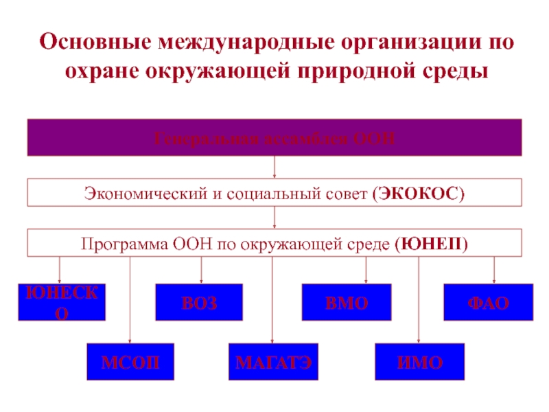 Международные организации природы. Международные организации по охране окружающей среды. Основные международные организации по охране окружающей среды. Международные организации по охране окружающей среды схема. Международные организации в области охраны окружающей среды билет.