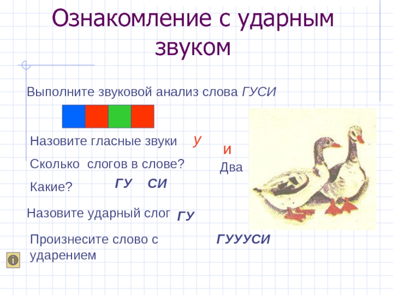 Булка схема звуковая