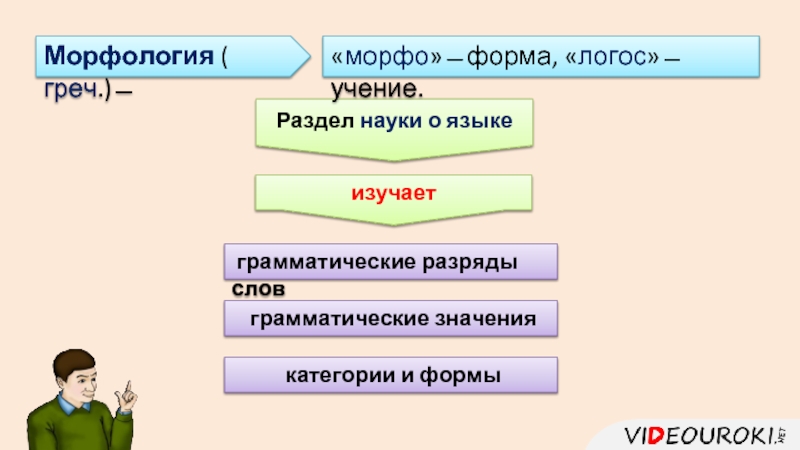 Морфология урок 6 класс презентация