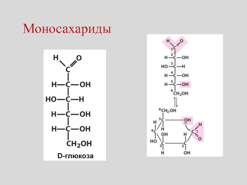 Нуклеиновые кислоты моносахариды