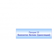 Лекция 13 Биосинтез белков (трансляция)