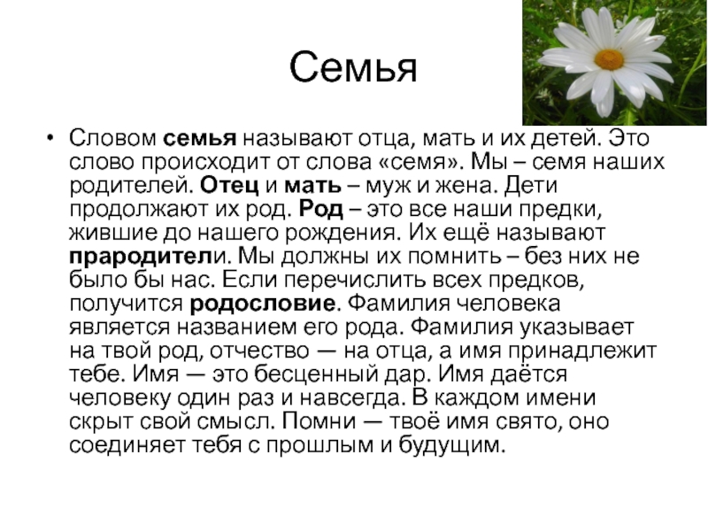 Объяснить слово семья. Происхождение слова семья. История слова семья. Происхождение слова семья для детей. Слово семья произошло от слова семя.