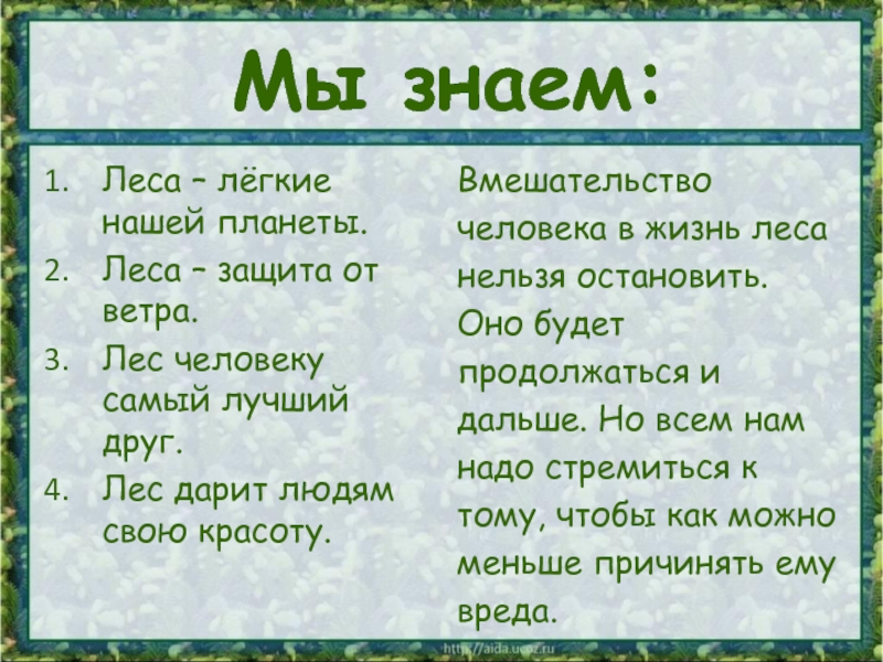 Минусы леса