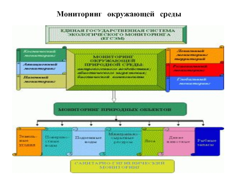 Мониторинг 11