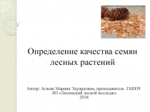 Определение качества семян лесных растений