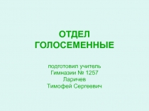 ОТДЕЛ ГОЛОСЕМЕННЫЕ