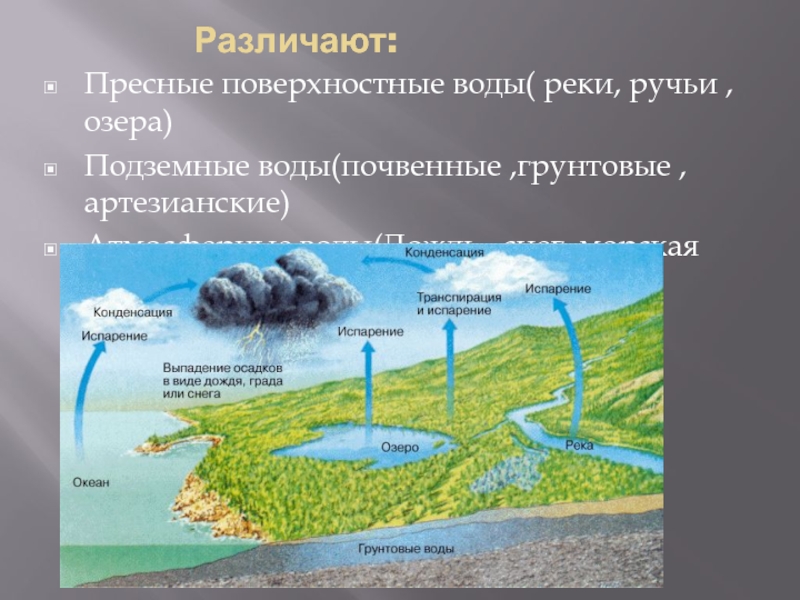 Основной источник пополнения подземных вод атмосферные осадки