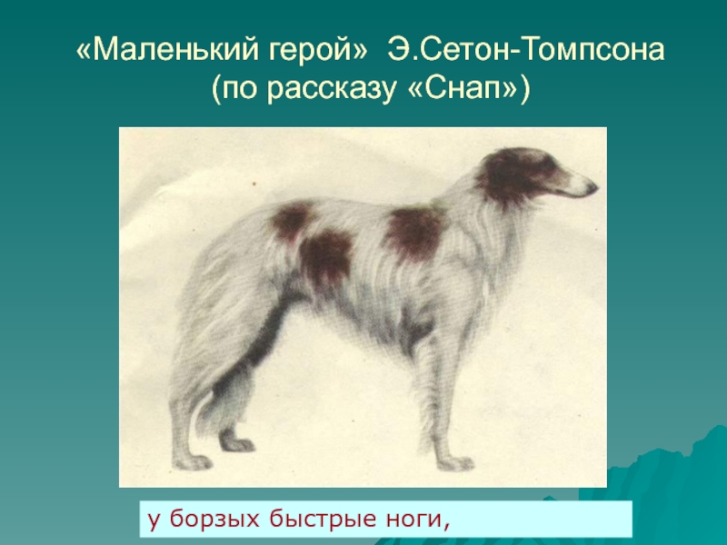 Рисунок к рассказу снап