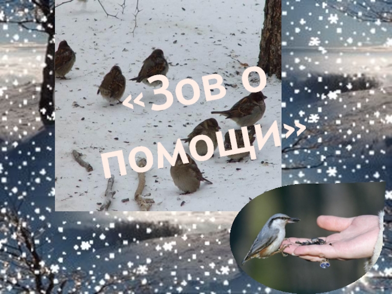 Зов о помощи