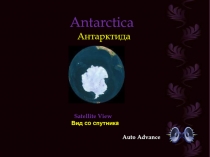 Антарктика (Antarctica)