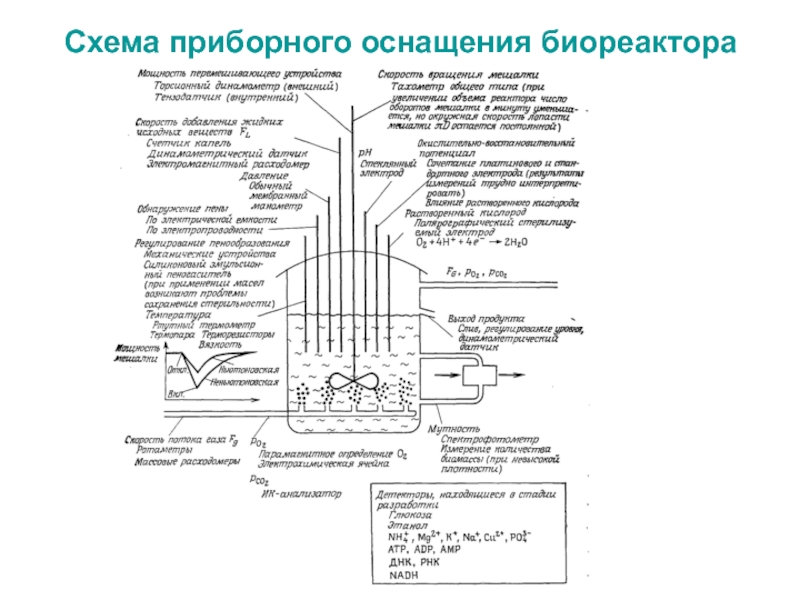 Схема приборного оснащения биореактора