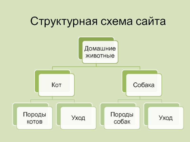 Сайт вот схема