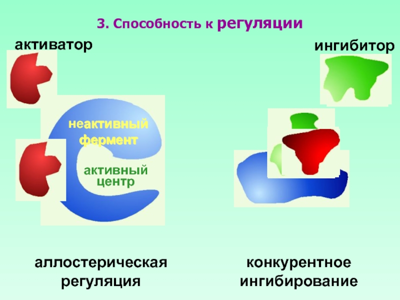 Аллостерические ферменты примеры. Ингибиторы и активаторы в аллостерической регуляции. Активатор и ингибитор природа. Аллостерические эффекторы. Аллостерический активатор
