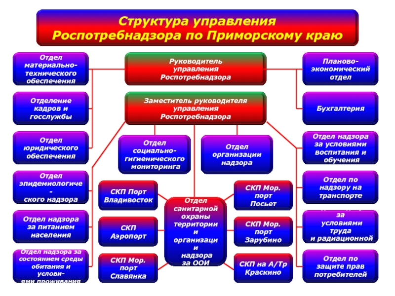 Управление федеральными учреждениями. Структура Роспотребнадзора схема. Структура службы Роспотребнадзора. Структурная организация учреждений системы Роспотребнадзора. Роспотребнадзор организационная структура.