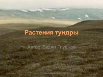 Растения тундры (4 класс)