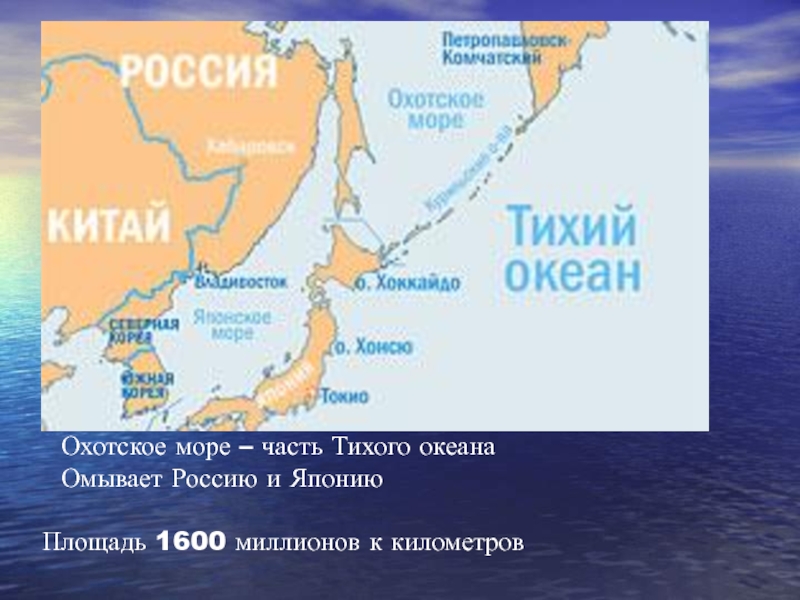 Охотское море – часть Тихого океанаОмывает Россию и ЯпониюПлощадь 1600 миллионов к километров