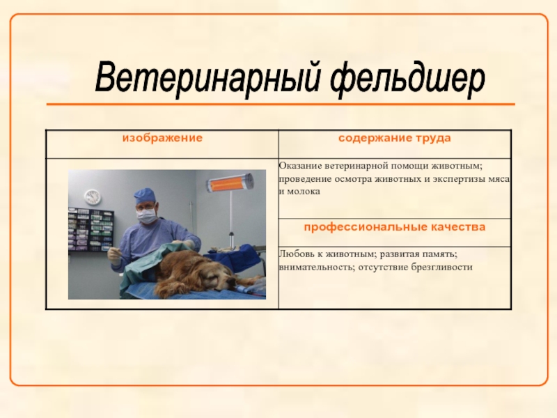 Ветеринар какую работу выполняют люди этой профессии. Профессия ветеринарный фельдшер. Обязанности ветеринара фельдшера. Презентация на тему ветеринарный фельдшер. Профессиограмма ветеринара фельдшера.