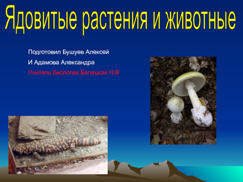 Презентация Ядовитые растения и животные
Подготовил Бушуев Алексей
И Адамова