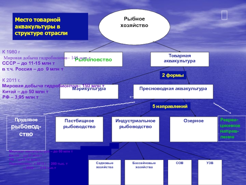 Презентация рыбное хозяйство 8 класс география