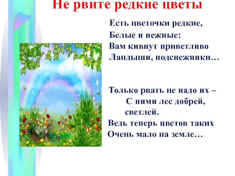 Не рви цветы. Не рвите редкие цветы. Не срывай редкие растения. Не рвите редкие цветы в лесу картинки. Текст песни добрый лес.