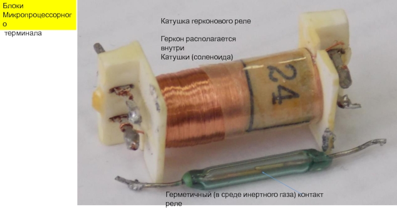 Катушка внутри катушки. Герконовое реле тока. Герконовые катушки. Геркон внутри катушки. Внутренняя катушка реле.