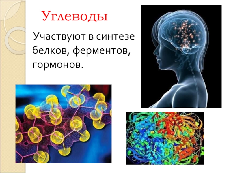 Синтез ферментов и гормонов. Белки ферменты гормоны. Ферменты и гормоны картинки. Гормоны и ферменты. Гормоны углеводы.