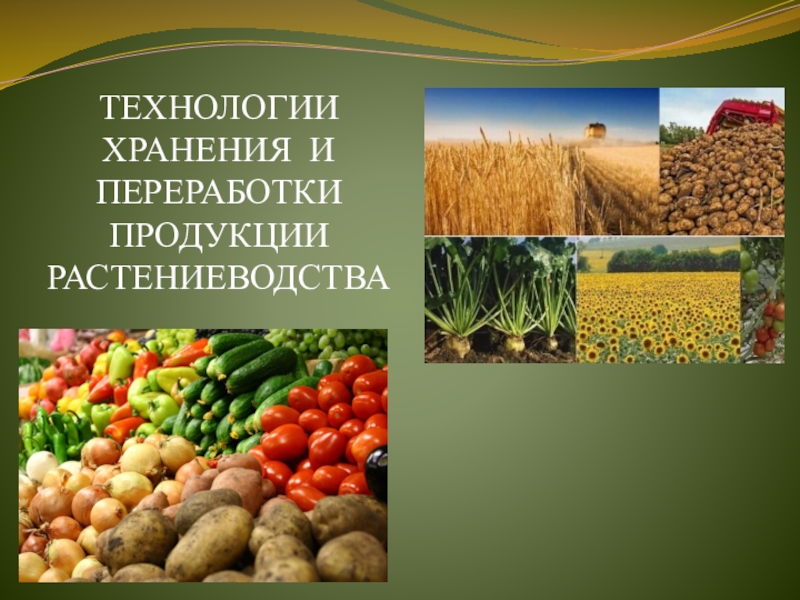 Доклад: Экологически безопасные способы хранения сельхозпродукции