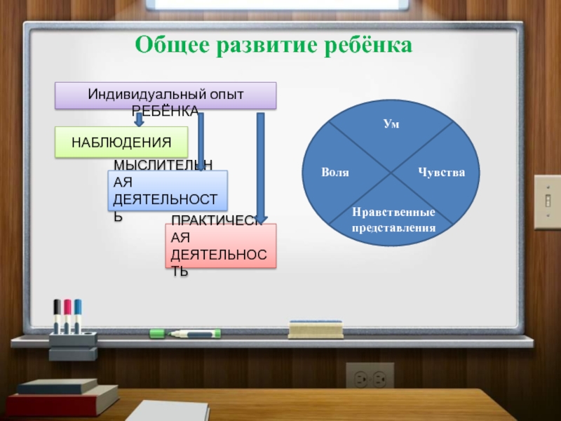 Индивидуальный опыт. Индивидуальный опыт ребенка;. Для общего развития. Индивидуальный эксперимент,.