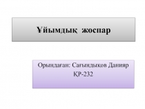 Ұйымдық жоспар