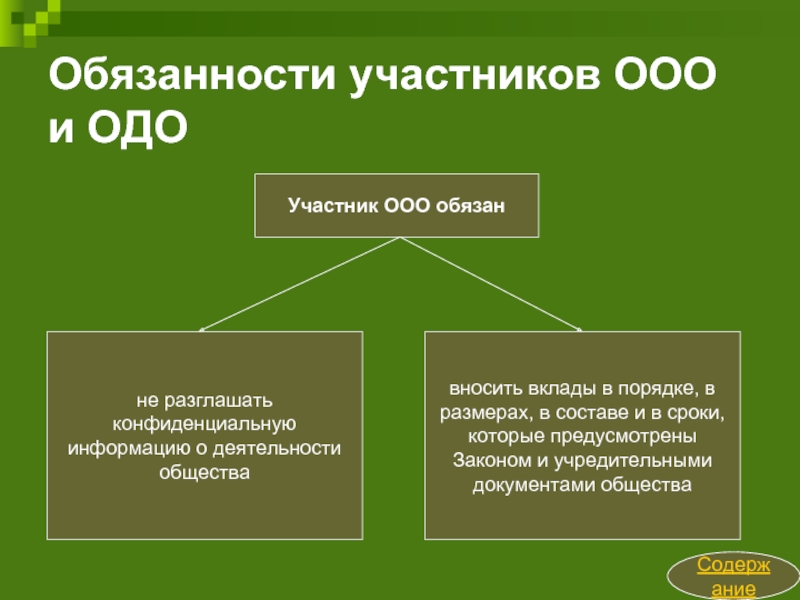 Общество с дополнительной ответственностью презентация