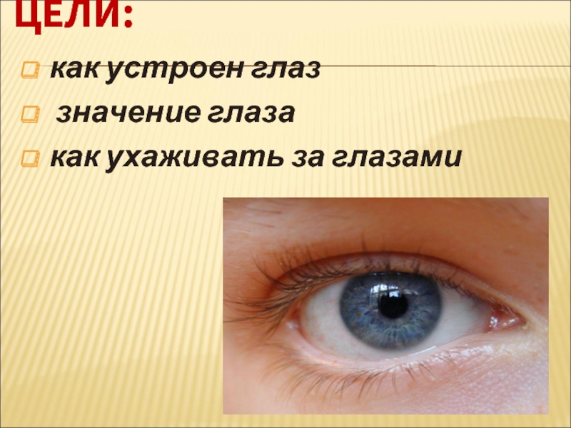 Ока значение. Значение глаз. Окно в окружающий мир. Во все глаза значение. Глаза значение в нашей жизни.