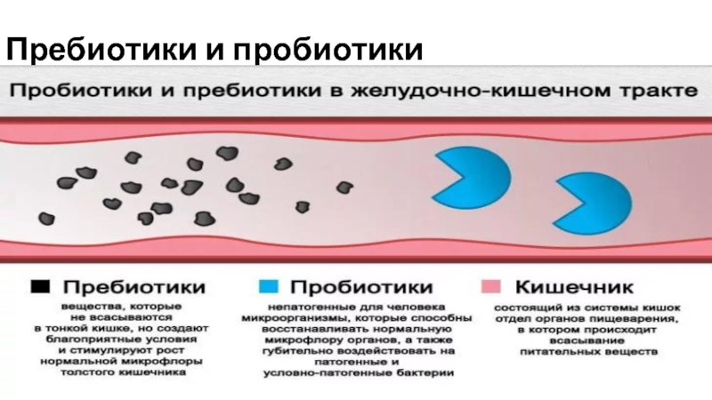 Презентация на тему жирная кожа