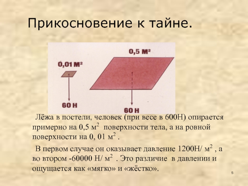 Поверхность тела