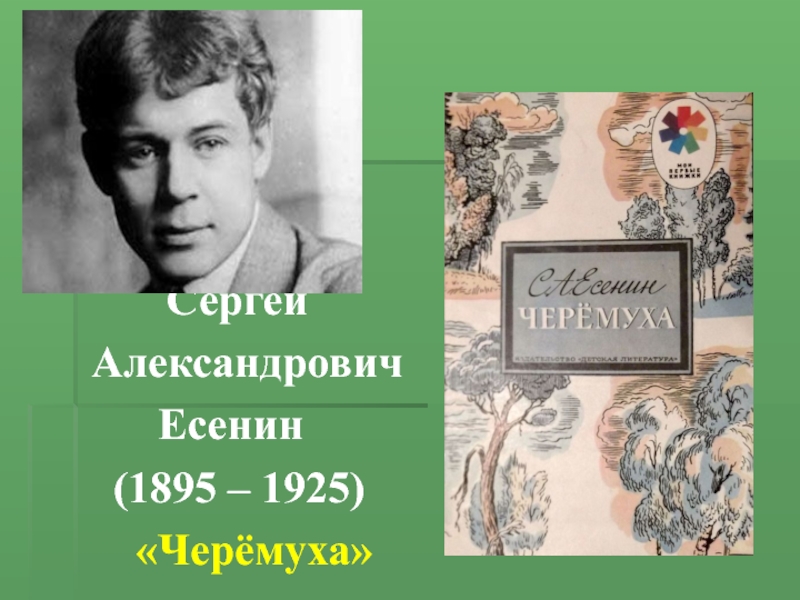 Сергей Александрович    Есенин  (1895 – 1925)   «Черёмуха»