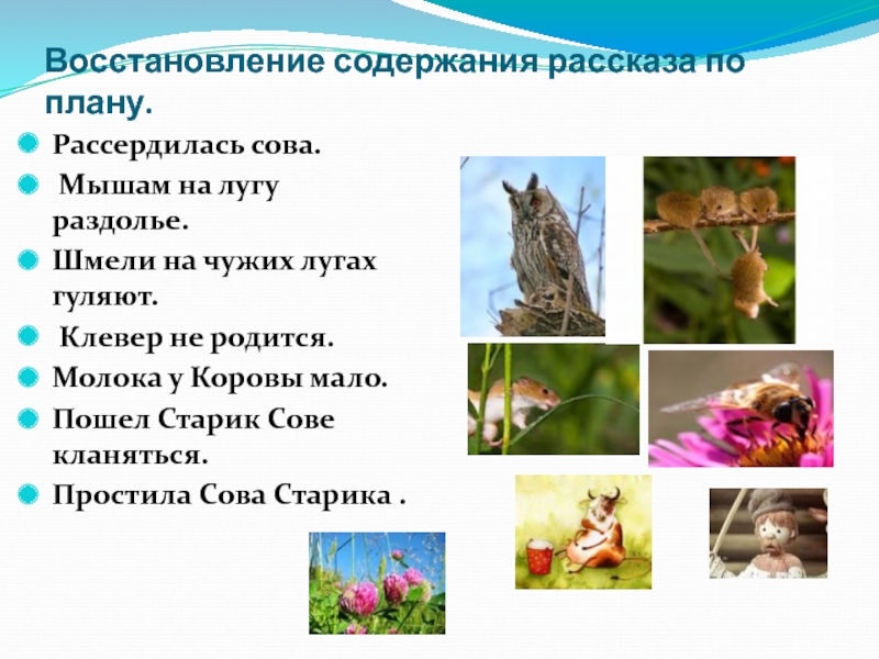 Презентация старик и сова