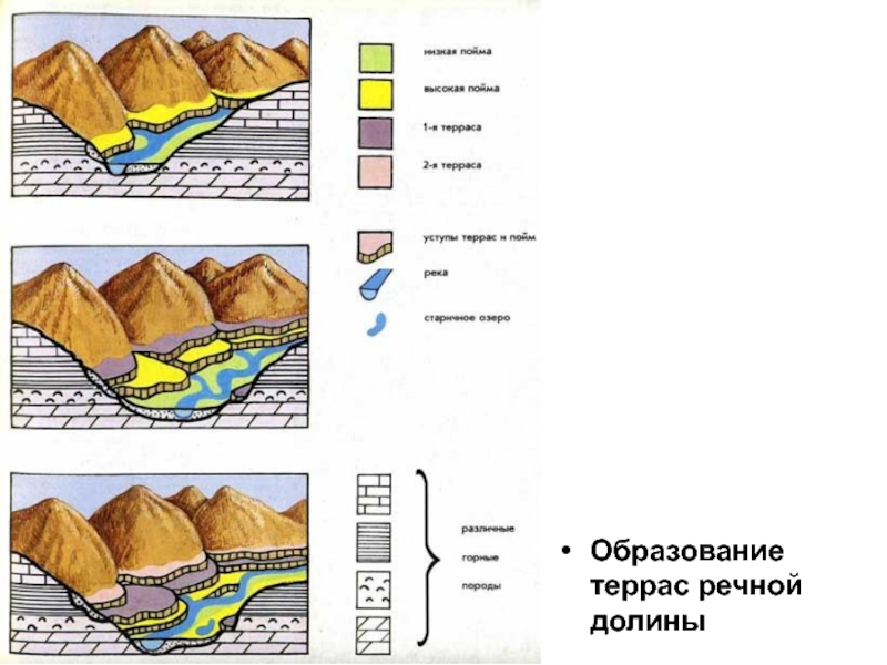 Речная терраса. Образование террас в речных долинах. Терраса Геология. Формы рельефа речных Долин. Цокольная терраса Геология.