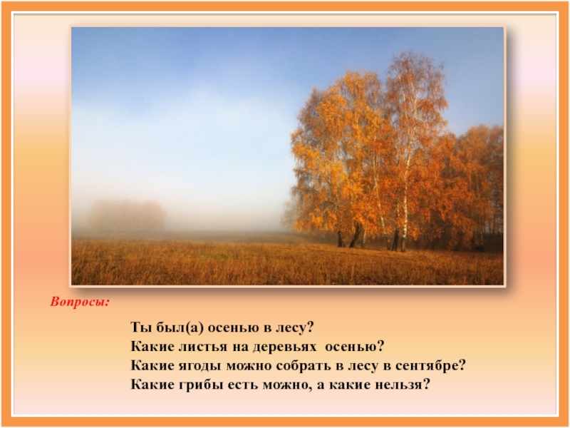 Осенний лес высказывание. Каким может быть лес осенью. Небо осенью какое какая бывает осень. Текст хорошо осенью в лесу.