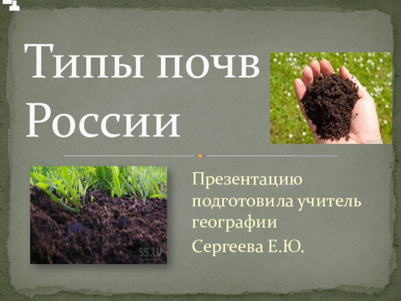 Типы почв России